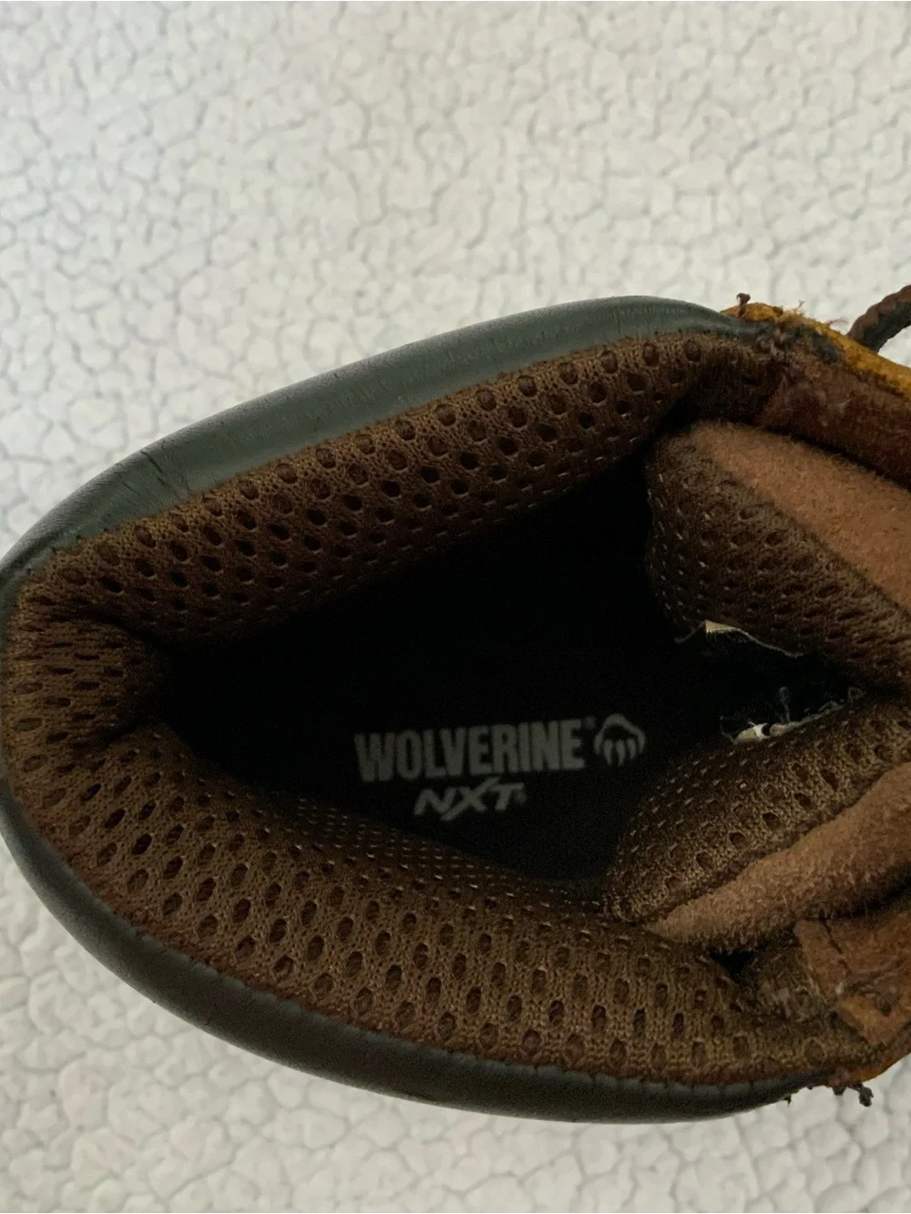Wolverine Men's 6